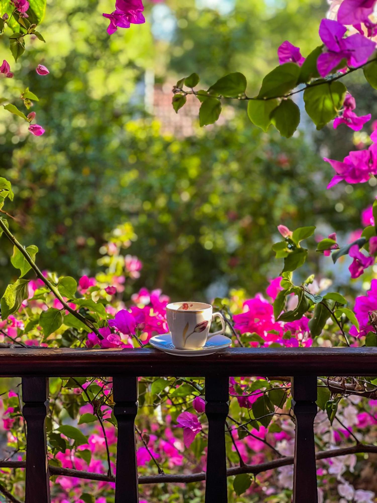 אקיאקה Liya Boutique Hotel & Suites מראה חיצוני תמונה
